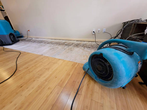 Professional Burst Pipe Water Damage technician working in Cedarville, AR